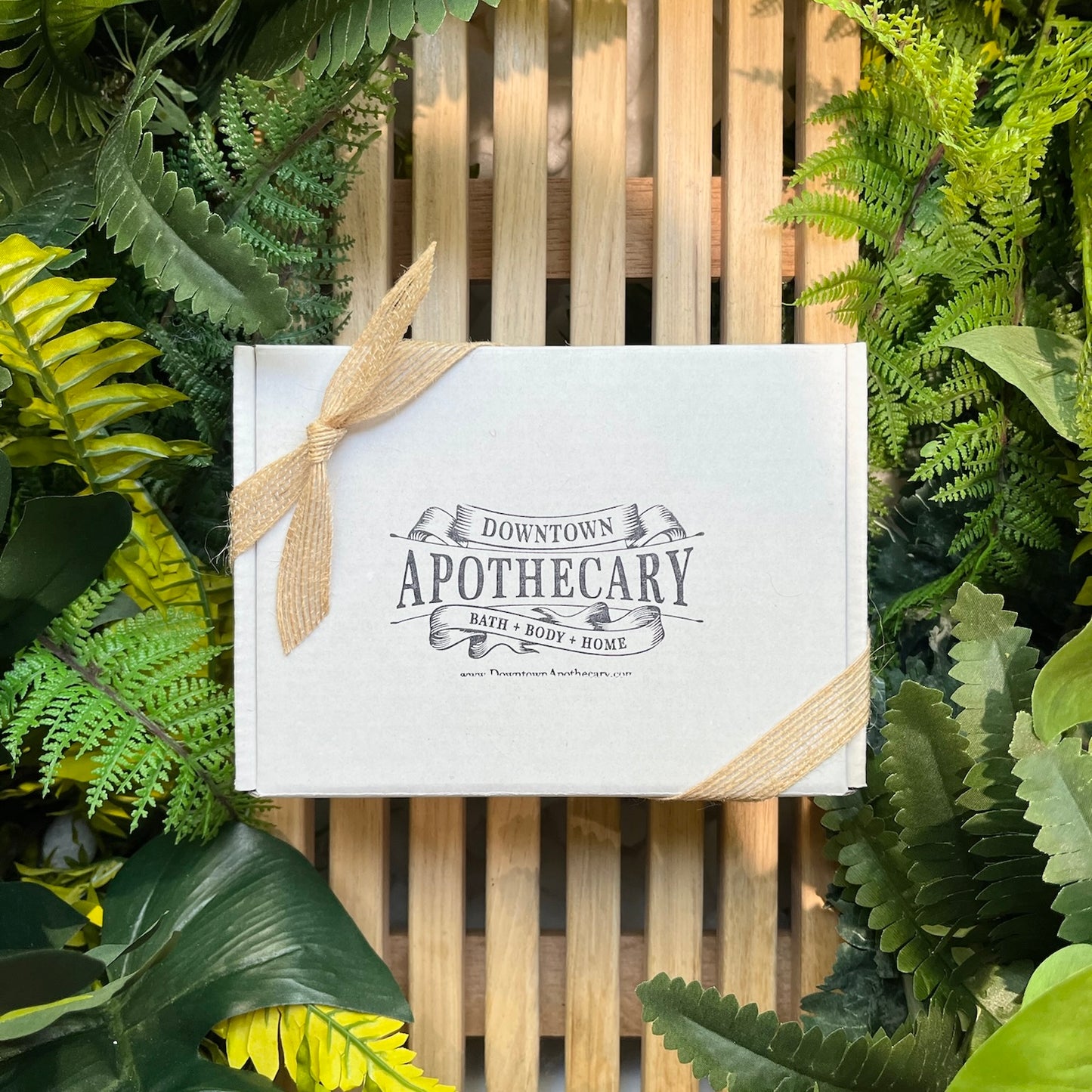 Discovery Box - Citrus Grove